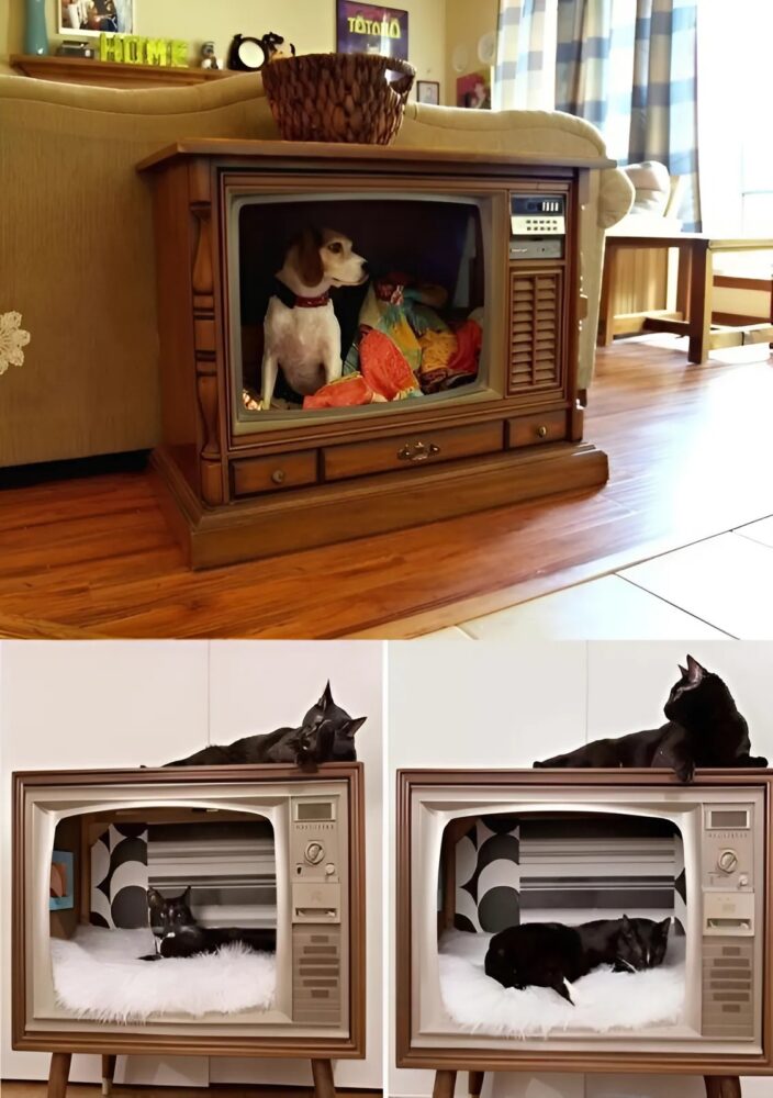 Wie Mein Vater Den Alten Fernseher Meiner Großmutter In Ein Praktisches Und Stilvolles Wohnaccessoire Verwandelt Hat
