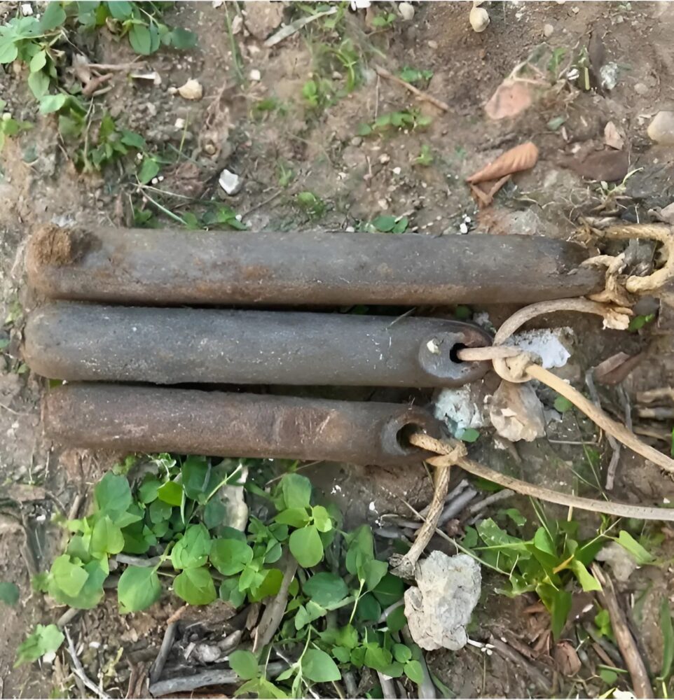 Mein Vater bat mich, unser Sommerhaus aufzuräumen, und das habe ich im Hof gefunden